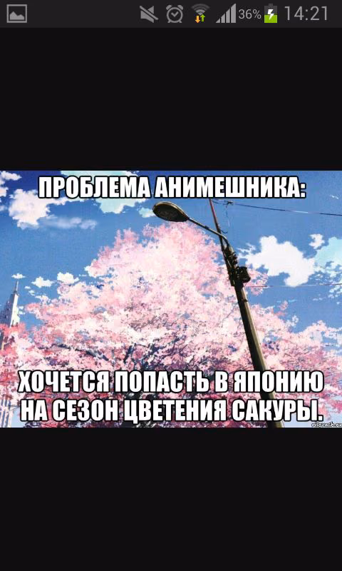 455fc9923f46f678b7565390048dc24c.jpg