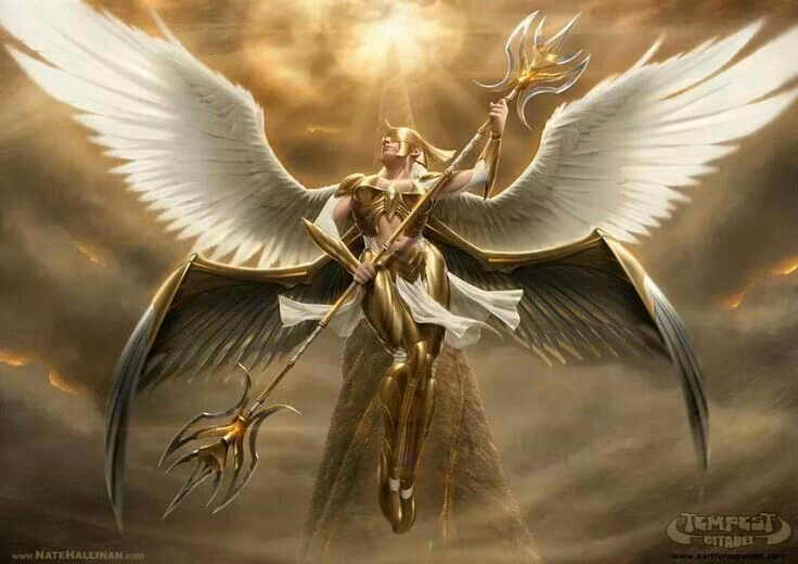 4564fe3e9c110ff5b14d4535a7570ad3.avif