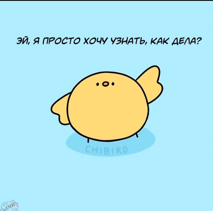 45761c911b89e80cc51c6211a9a19a7e.avif
