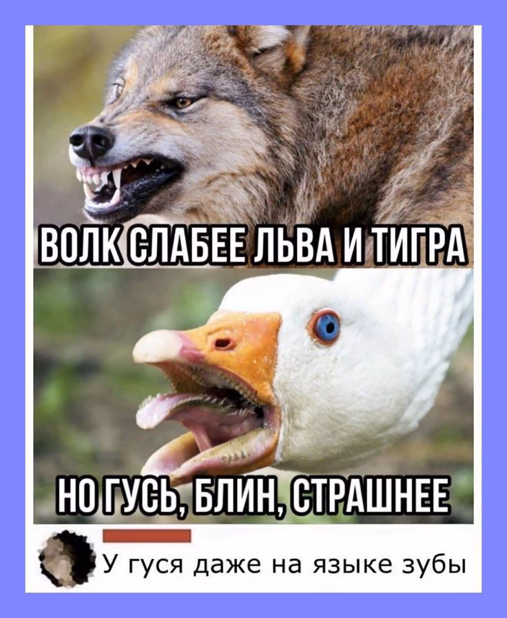 25dcce53a37486557c0f31a0fbae5fd7.jpg