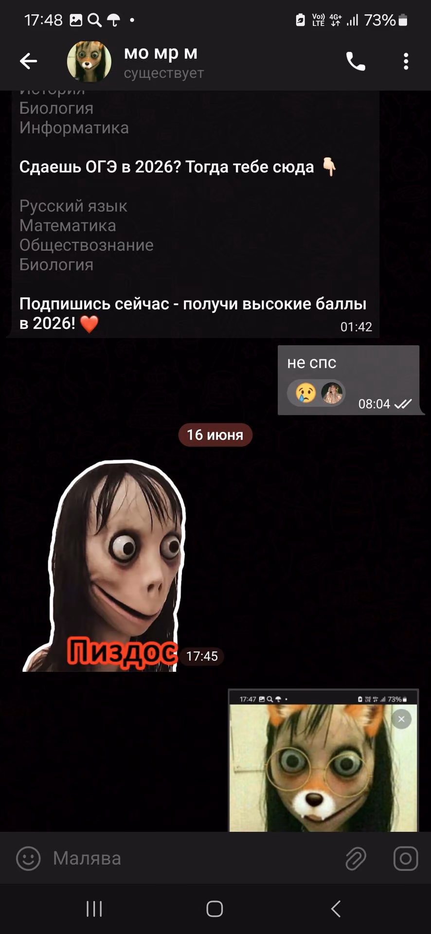 458240637af1bd954c01515ba84eccec.avif