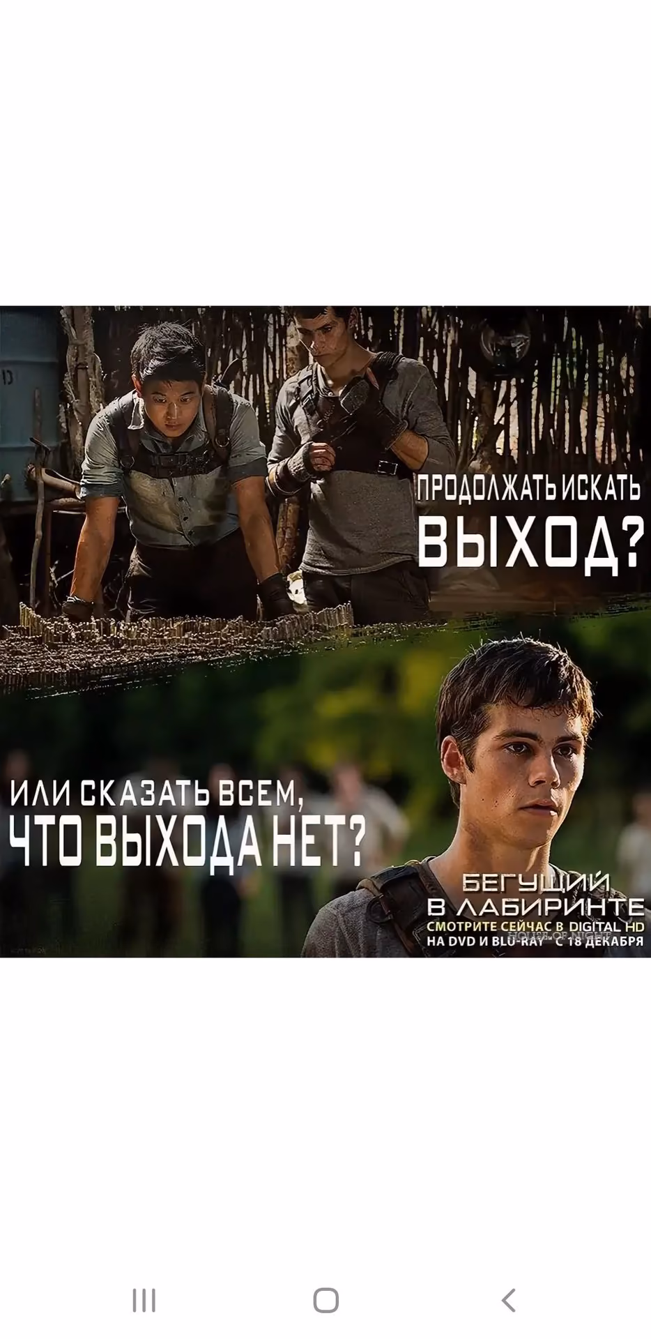 45829f17821026fa929b76227df0e0aa.avif
