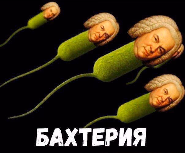 4589c73f53a11b29dcfb64a9b975cd73.avif