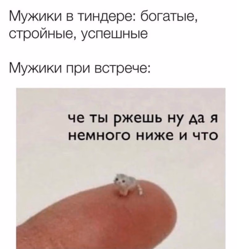 45a0e7d6b3032888340a25a09b521e63.jpg