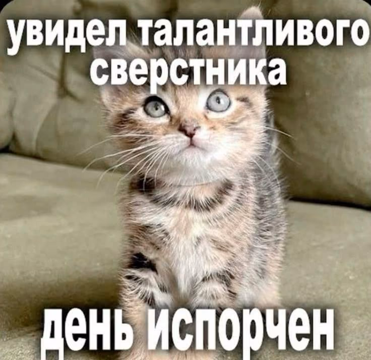 45a97b1b68cf9b1c74547e2435dc6a40.jpg