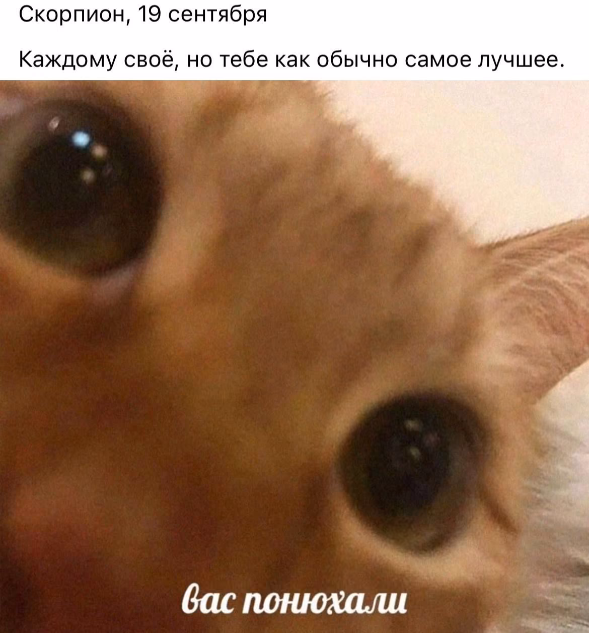 45b2e347fb5123895dc91775199b6a99.jpg