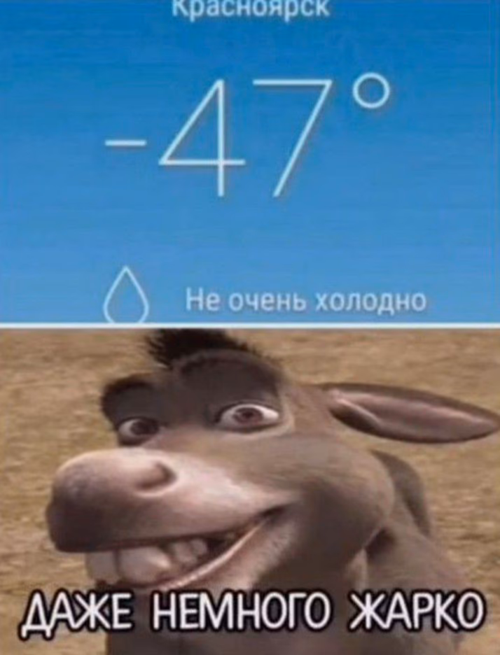 45becc750e83253b52ebc0d2f93dcbcb.avif