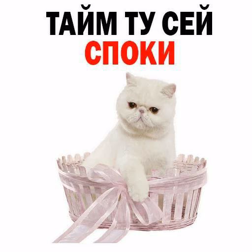 45cff1f2f8fb85845a897885c3626c1e.jpg