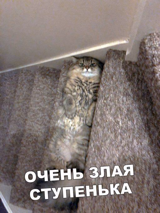 45d62fdda3eb327f4e35c39f08fe07dd.avif