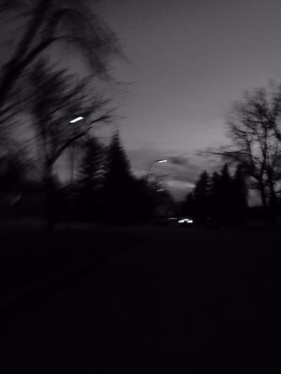 46047bce4c8a6e2f57d4296436ec8994.jpg