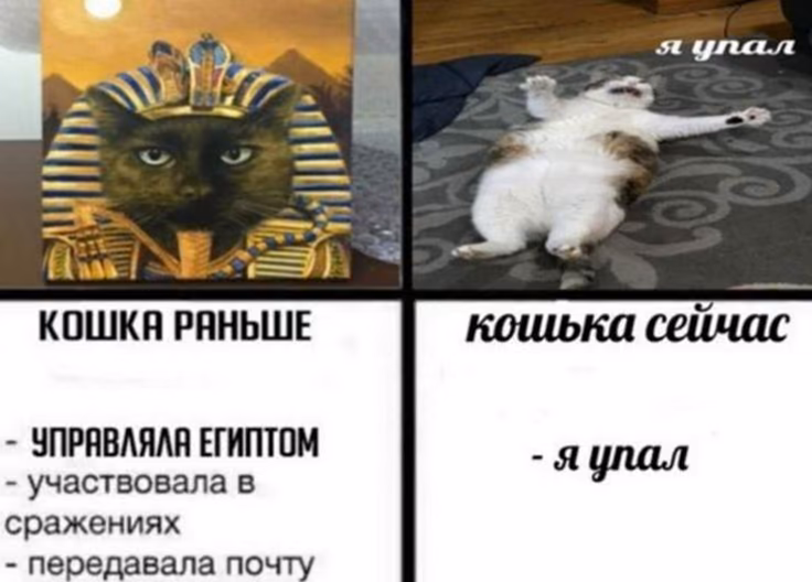 4618482bd4c1f9681888e615c771c50b.avif
