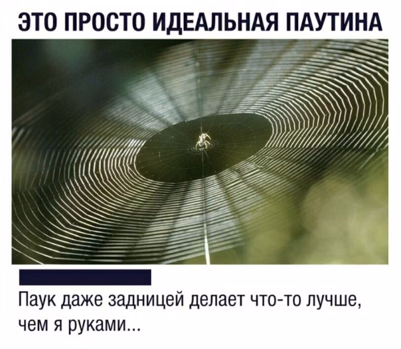 46257f409b72e89256d7d330fc59d7aa.jpg