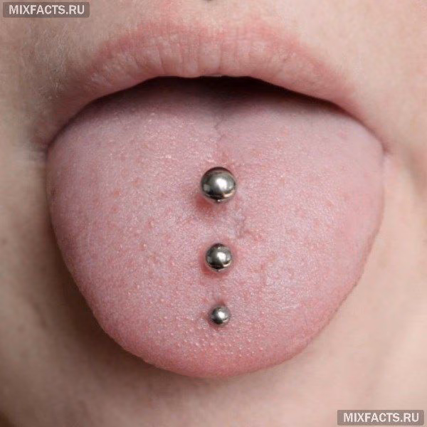 4635de02f8c8b7b1f833fcffecde508a.avif