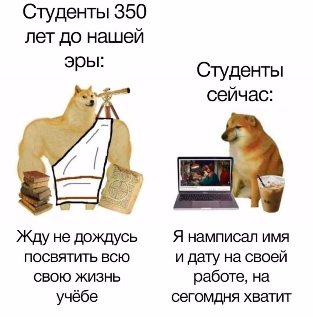 4654b717cc95d57245878807b0d7b42c.avif