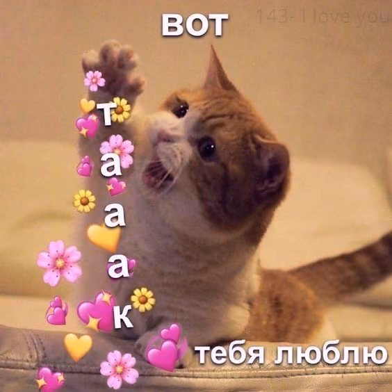 4688e357a031a7fe1b4c1c65707d777e.avif