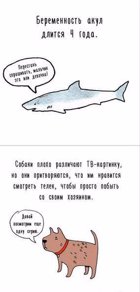 469cbd62e97e6f298107c2314e147cd7.avif