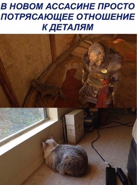 46aacf778c943ce0b09b01569739ab16.jpg