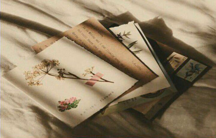 46ad2b9b831ee033fc875b47459ed3db.avif