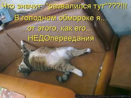 46b3895e1ab2f5e817589d000a8b42fe.avif