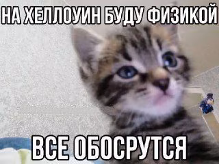 46c30b0afe7bf081a3d9a396a2640841.avif