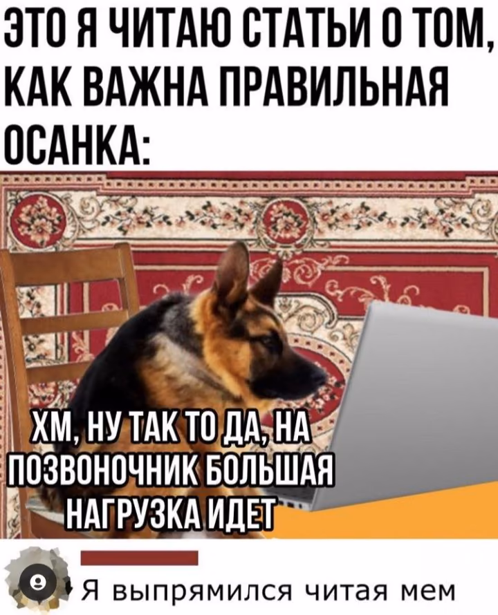 46c3a9056850f27100cfea7264dbab52.avif