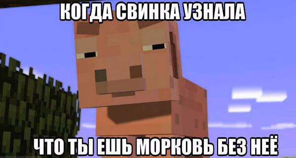 46de2563c388996233bdbfd0a44e40f3.jpg