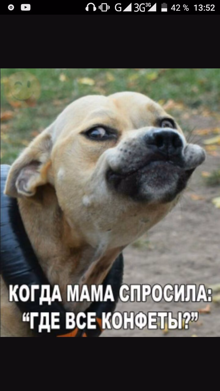 46de5cd5c2a1411880b6a899b3fe9ca8.avif