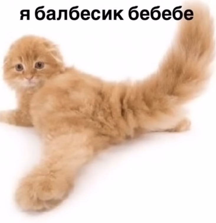 46fd08cd4ca0c46d1ff8a9e960248e37.jpg