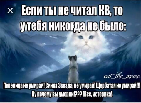 4709ccd583e7a93beaf6a1d0b683930b.avif