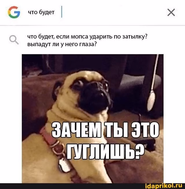 4715f10384a1e2017587e6970a453e9d.avif