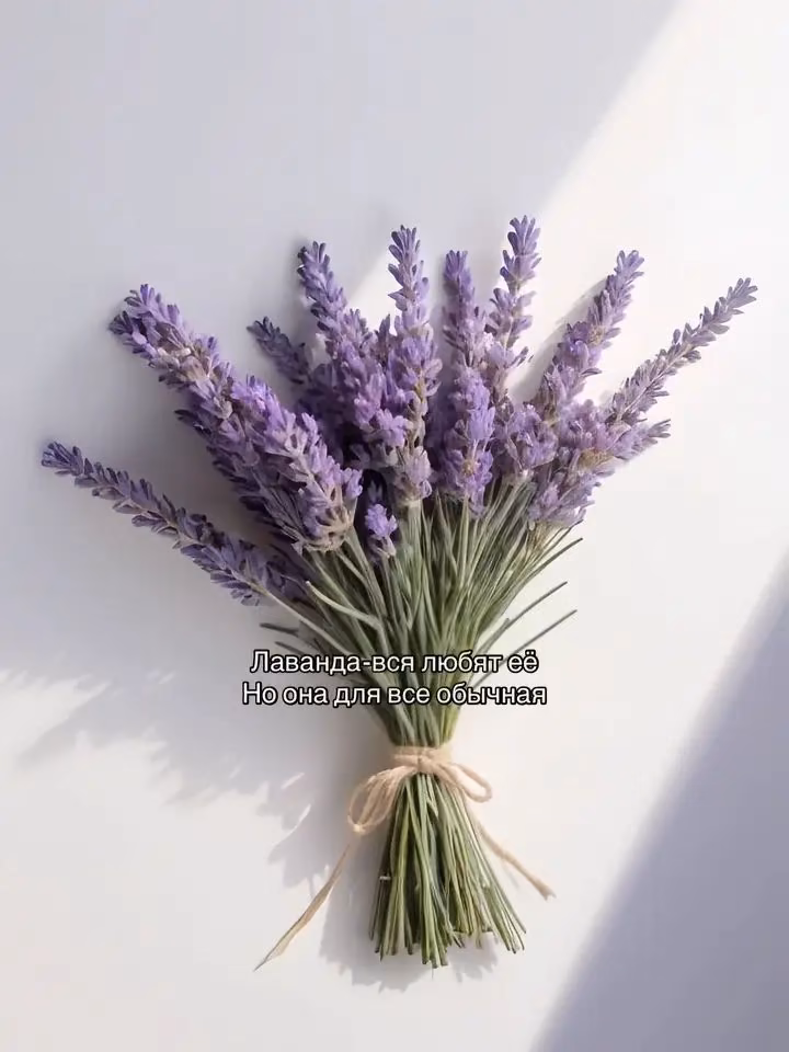 471f4eebb196e9fc94e80fbdd9403dcd.jpg