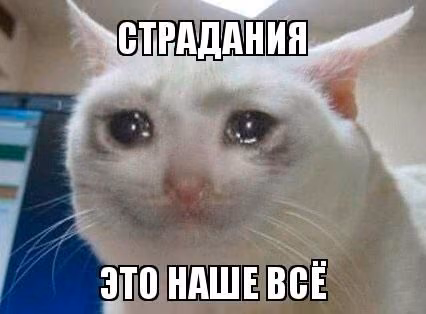 472596d373ba6ecd75114e4d61c363ce.avif
