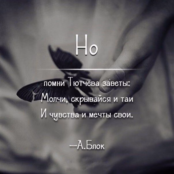 473559cd1926f6e1d02e1446a4d02b1b.jpg