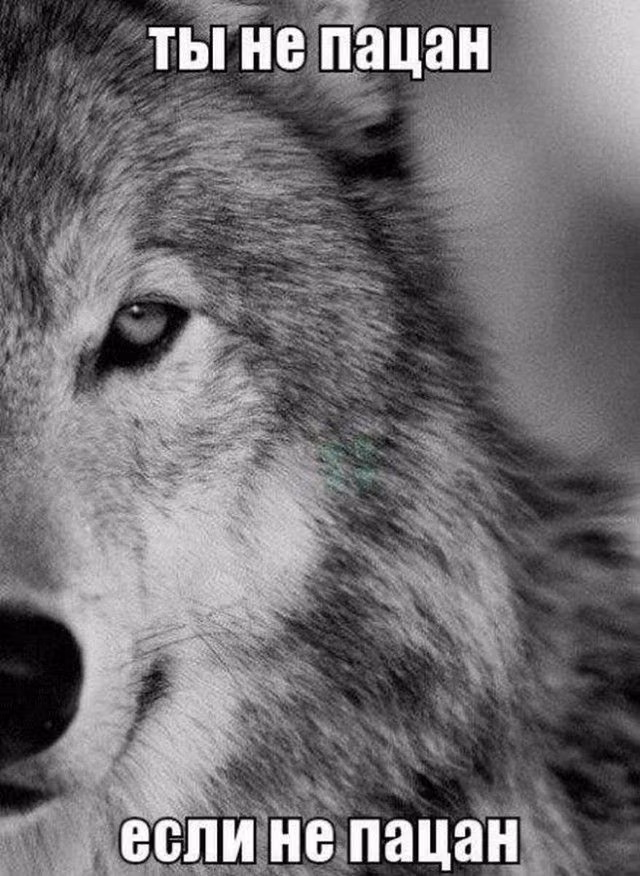 47363bcf5c96db6fa4512e25a1a082c4.jpg