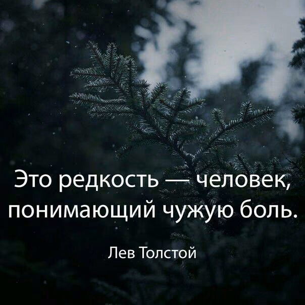 47387de21f39f186fe283be71e8cd014.jpg