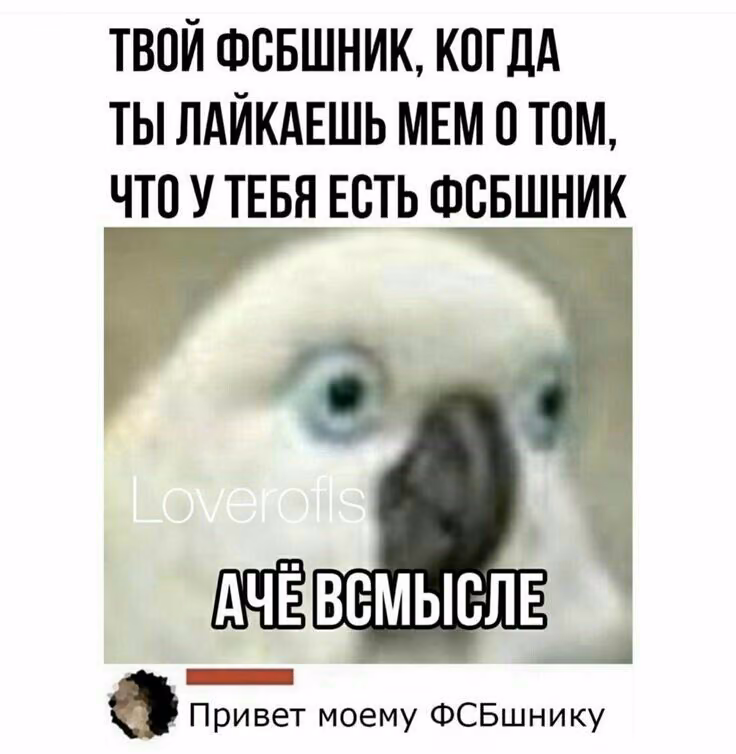 47440408f87723db9ef6e1e11d7ea6d1.jpg