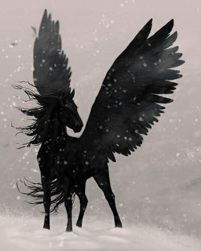 474416ad9899ab73372d09d7419d4cc2.avif