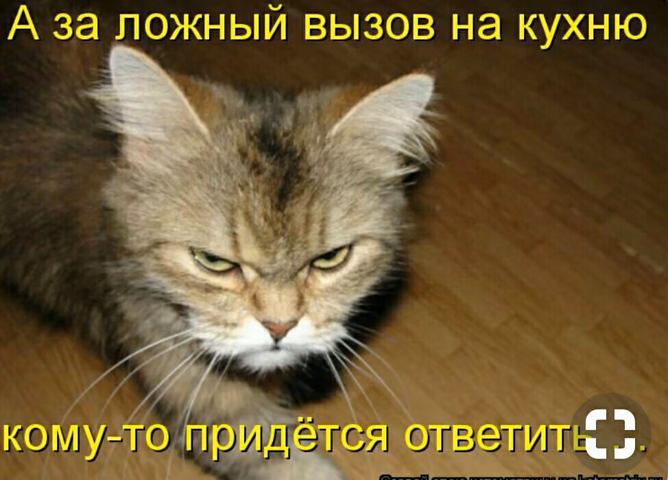 474592e6fbb788eeae5141b86943df71.jpg