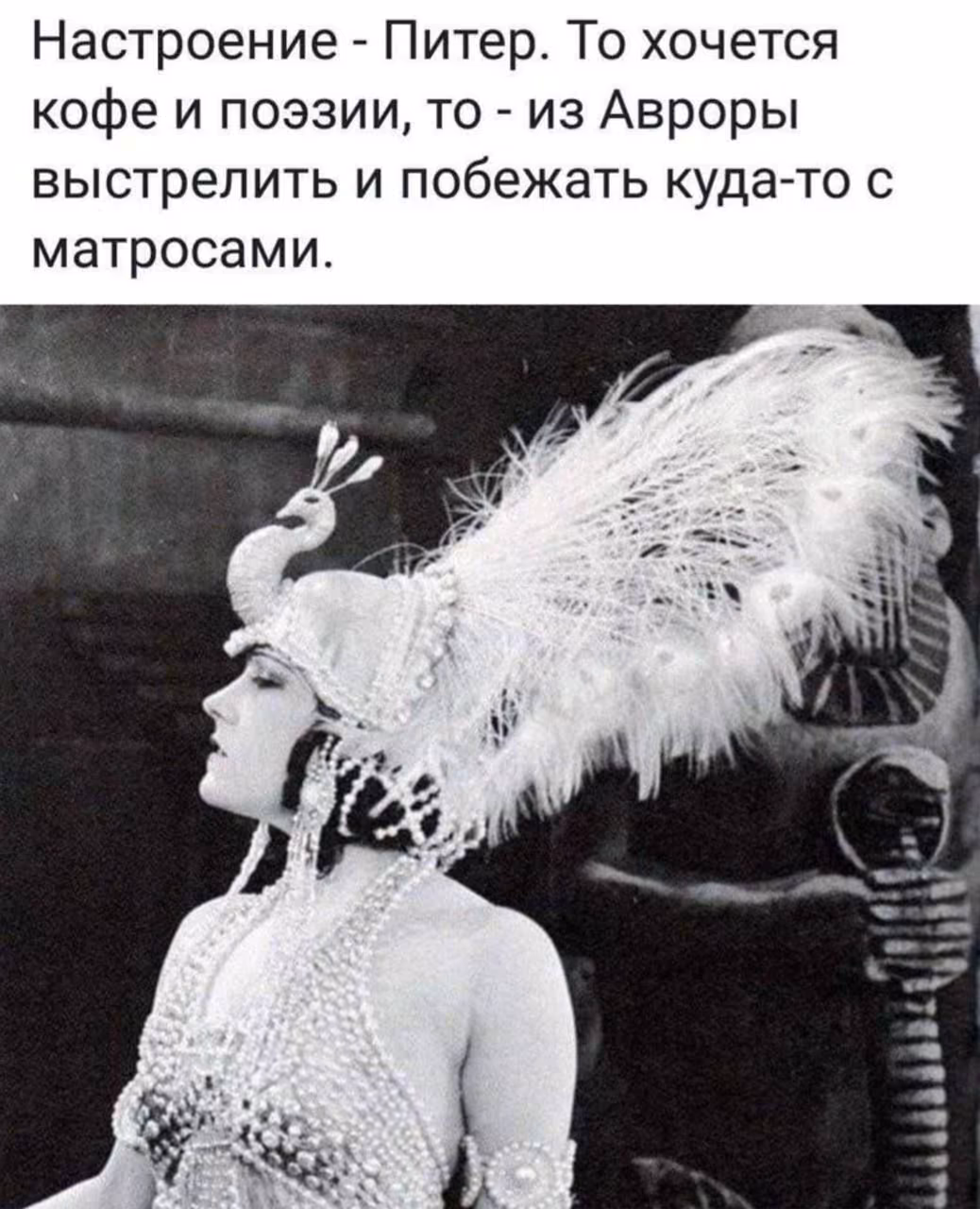 474cd575b1c7003eeb09b0af4be3eba8.avif