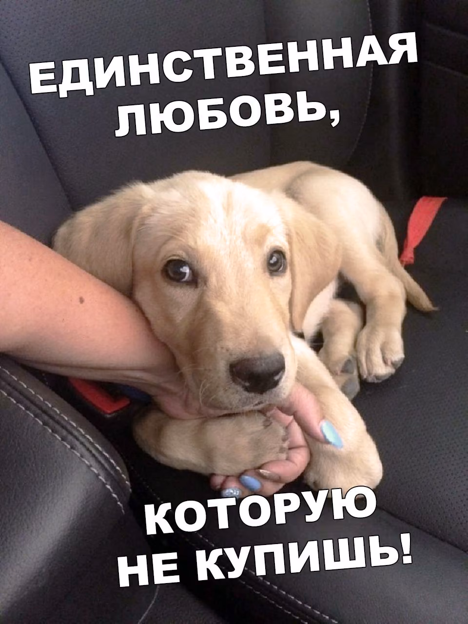 4756a9a24dbaa4f4da158d1b370780f8.jpg