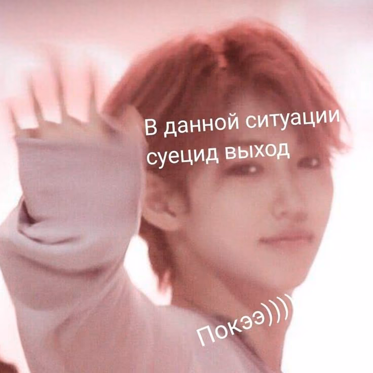477c18e3f76e564ad2a767b0cd1bab09.avif