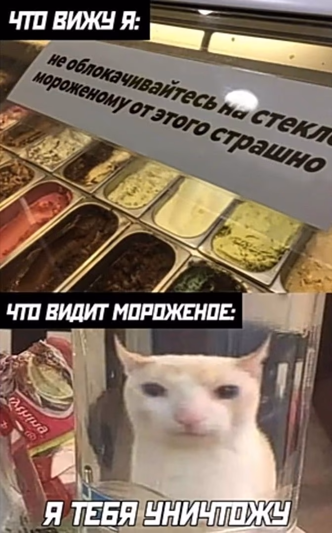 47887a737a86425ccfba0784f1c69d4b.avif