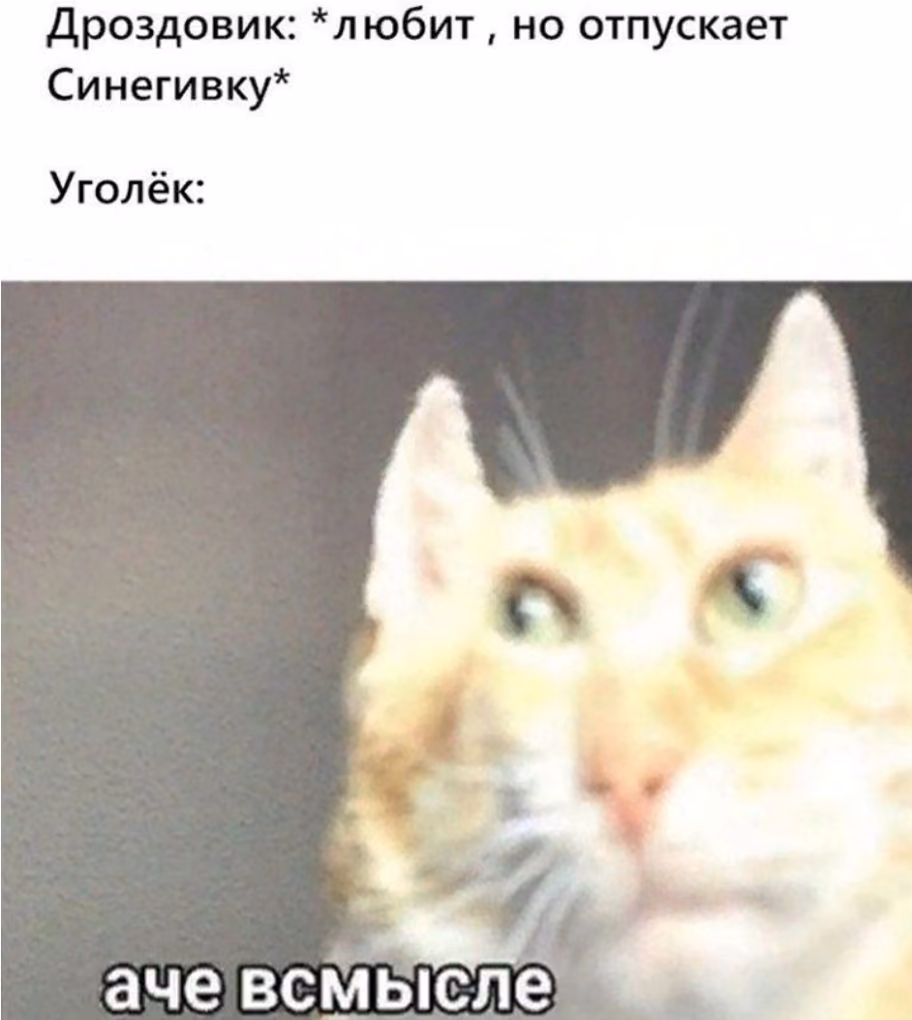 47bcc31b37a89ea1f71f6be2b901c0c8.jpg