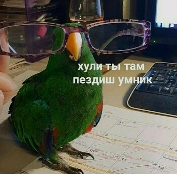 47c6e0978e9fdfcbb0581d6d4c133aef.jpg