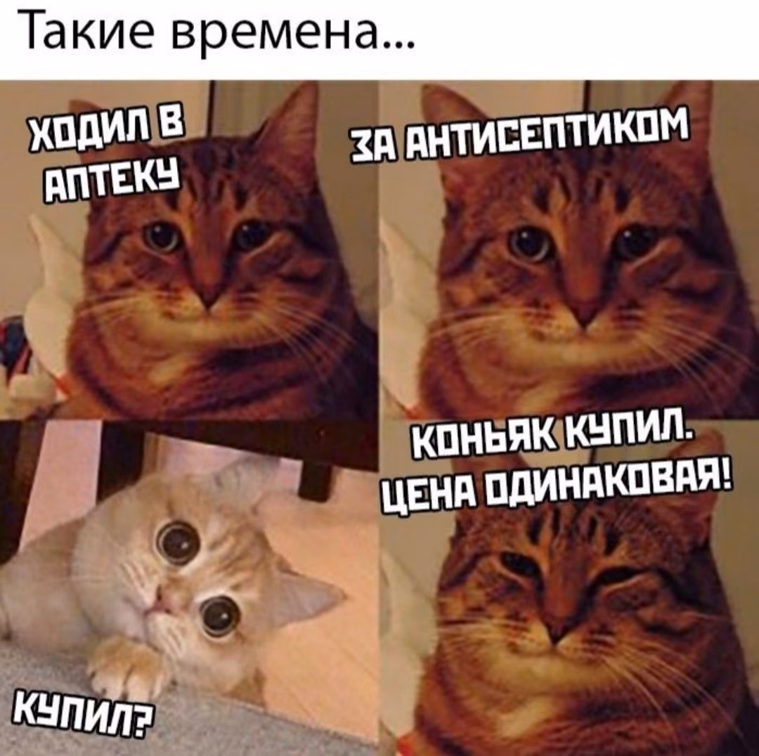 47ce4457f210ab7881d8ff9facfa946f.avif
