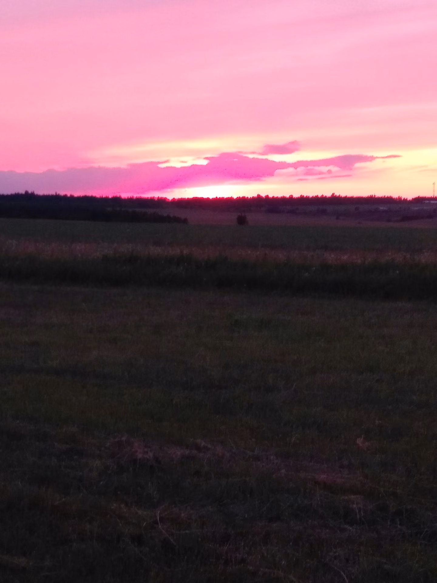 47d413fd3548091eb1f3c4139af9bf28.jpg