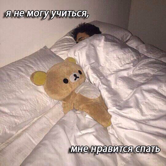47d510bd52d79e0a61e2d3c8e1566c66.jpg