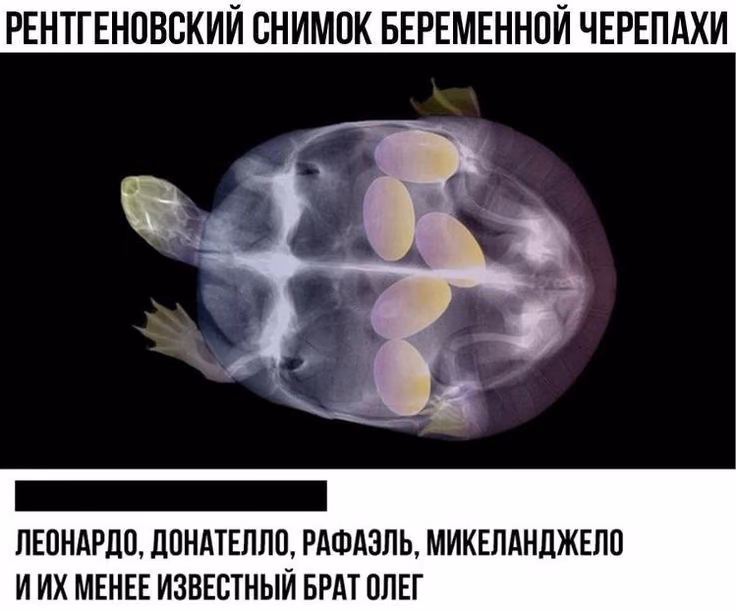 47ddabd23f6c88597e403c0e64c4bf70.avif