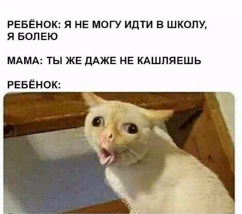47fbb0669c3057baabaedb2e54842659.jpg