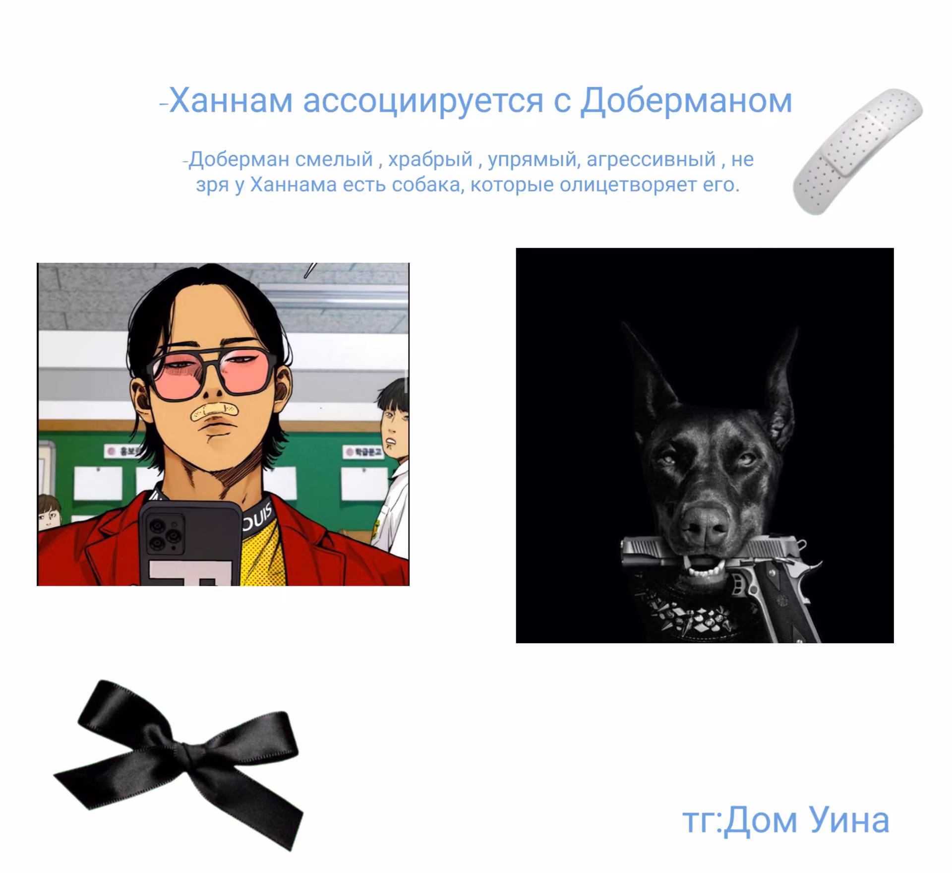 47fbb42555c11d83888b68e67e0ceeed.avif